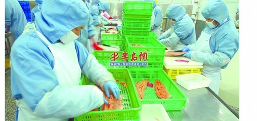 歐美需求激增，青島海產(chǎn)品加工企業(yè)全力以赴趕訂單